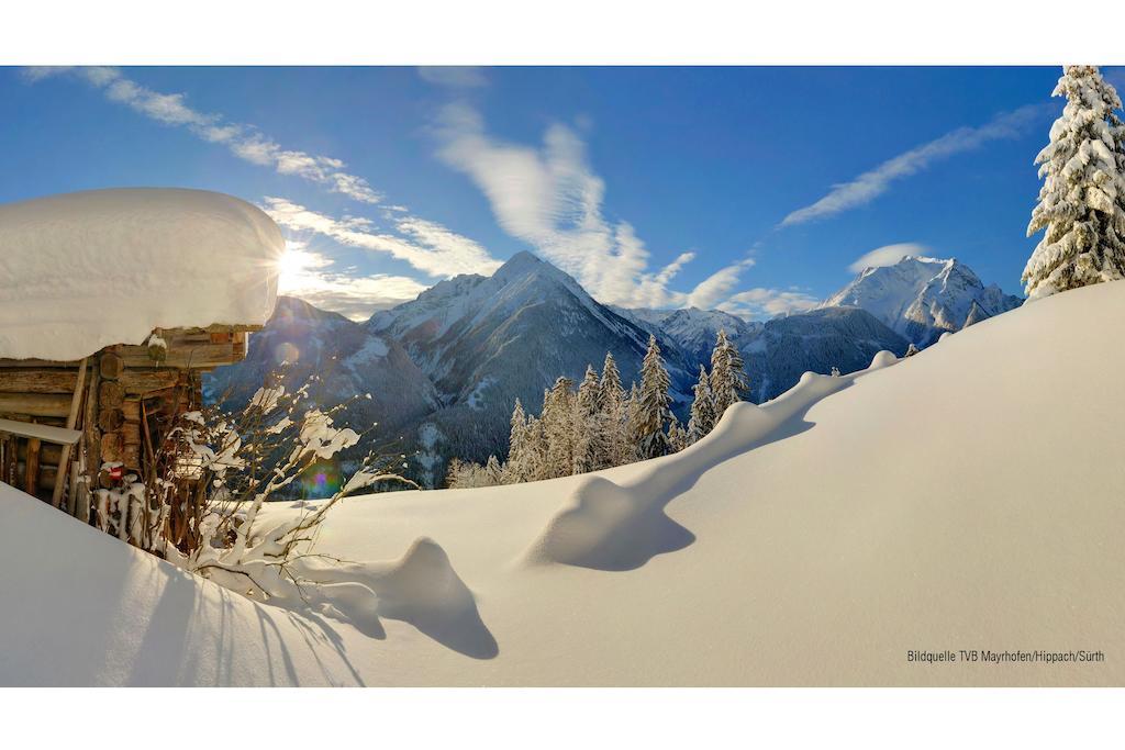 Appartement Haus Gaisberger à Mayrhofen Extérieur photo